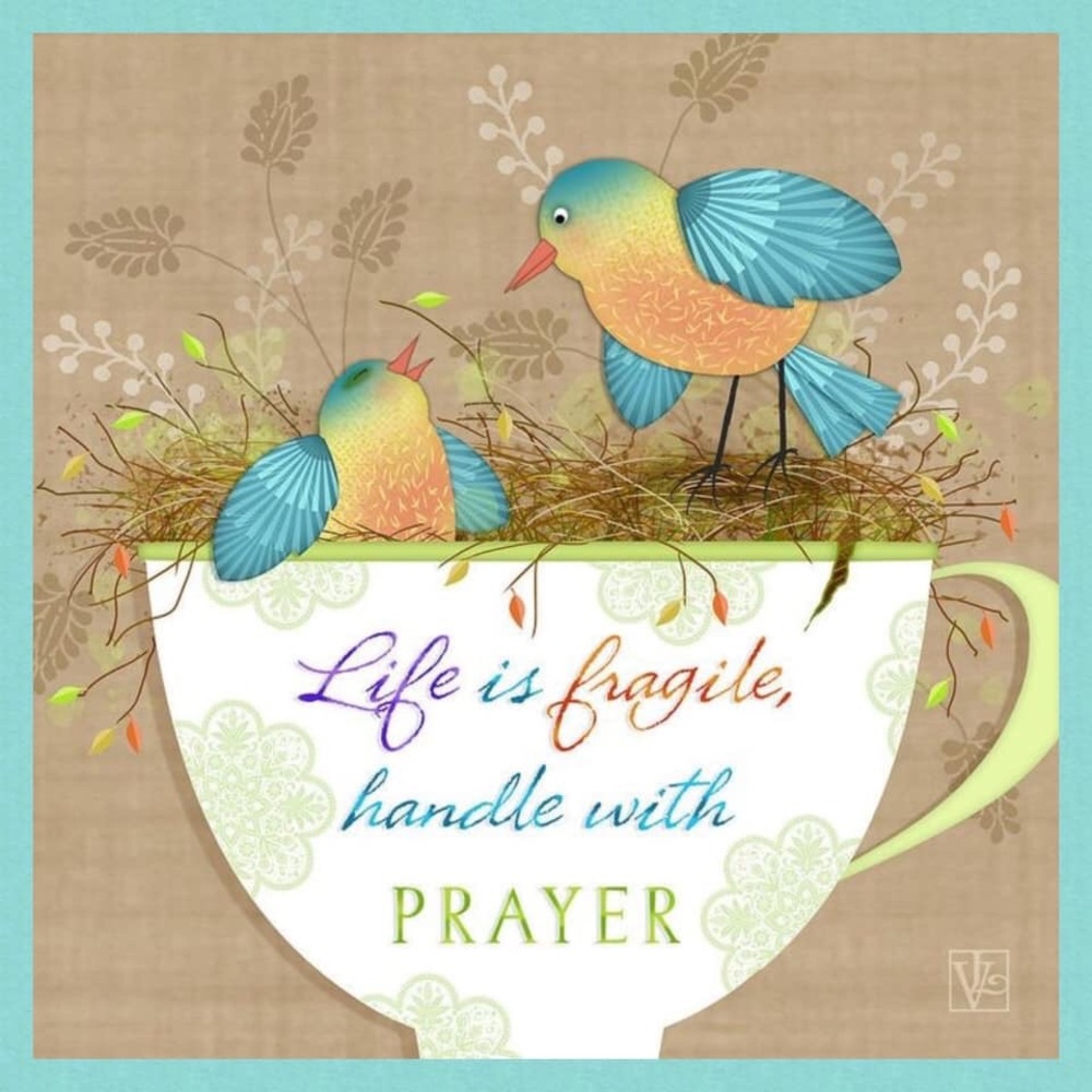 Meet your Posher, Mary